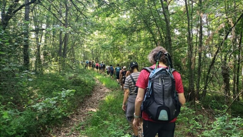 In cammino verso il raduno estivo della Rete Ecovillaggi