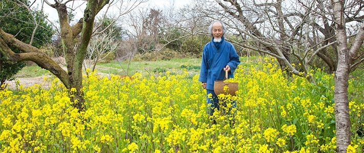 L’orto naturale secondo Yoshikazu  Kawaguchi