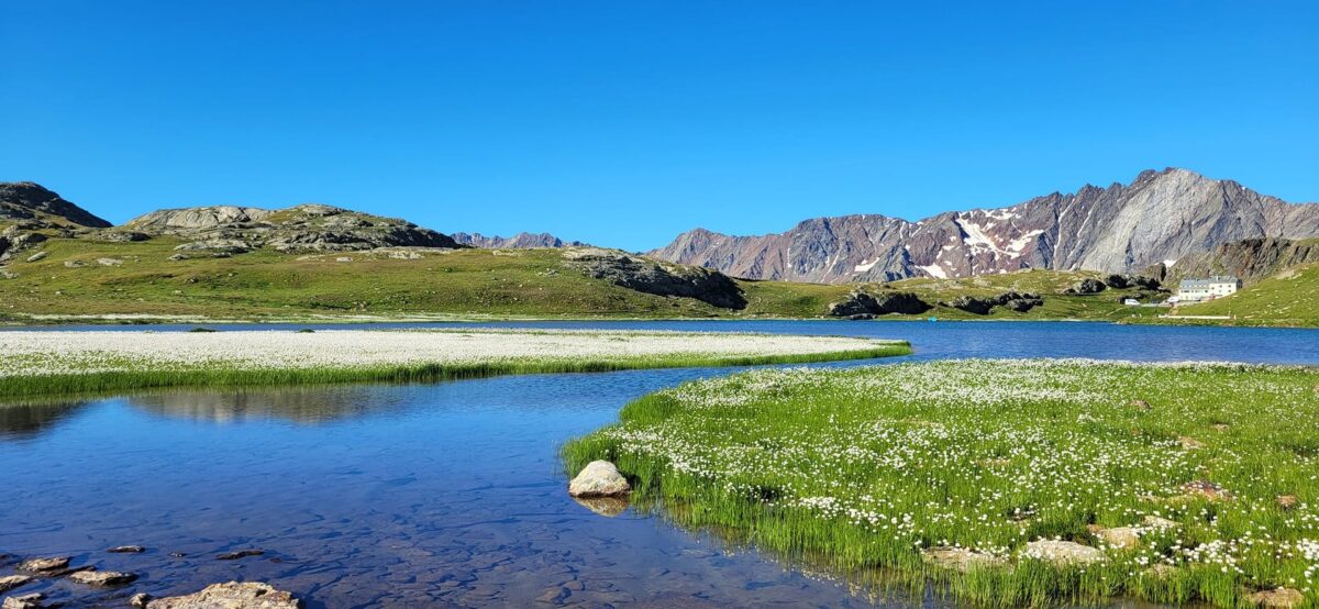 Lago Bianco: grazie alle associazioni, inizia il ripristino dell’habitat