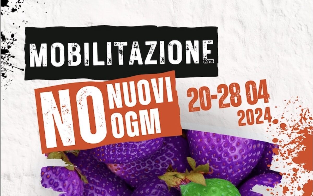 No ai nuovi OGM: dal 20 al 28 aprile mobilitazioni in tutta Italia