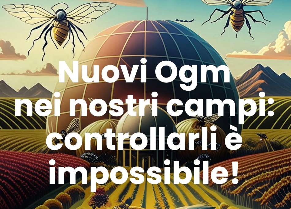 Nuovi OGM nei nostri campi: stop, prima che sia troppo tardi