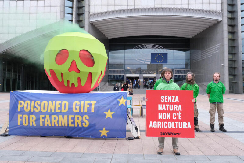 Revisione Pac, Greenpeace: «L’attacco alle norme ambientali europee è un regalo avvelenato per gli agricoltori»