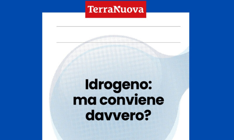 Roy Virgilio: «Idrogeno pulito? Vediamoci chiaro»