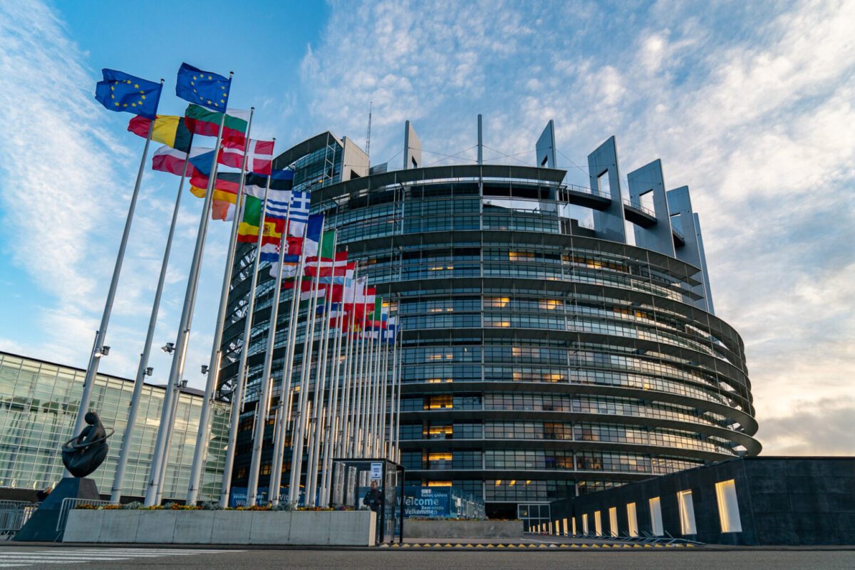 Via Campesina: «Il Parlamento europeo ha votato su nuovi Ogm e sementi: violati i diritti dei contadini»