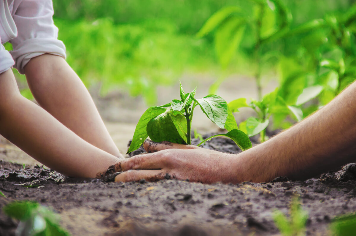 Slow Food, l’appello al G7: «La strada è l’agroecologia»