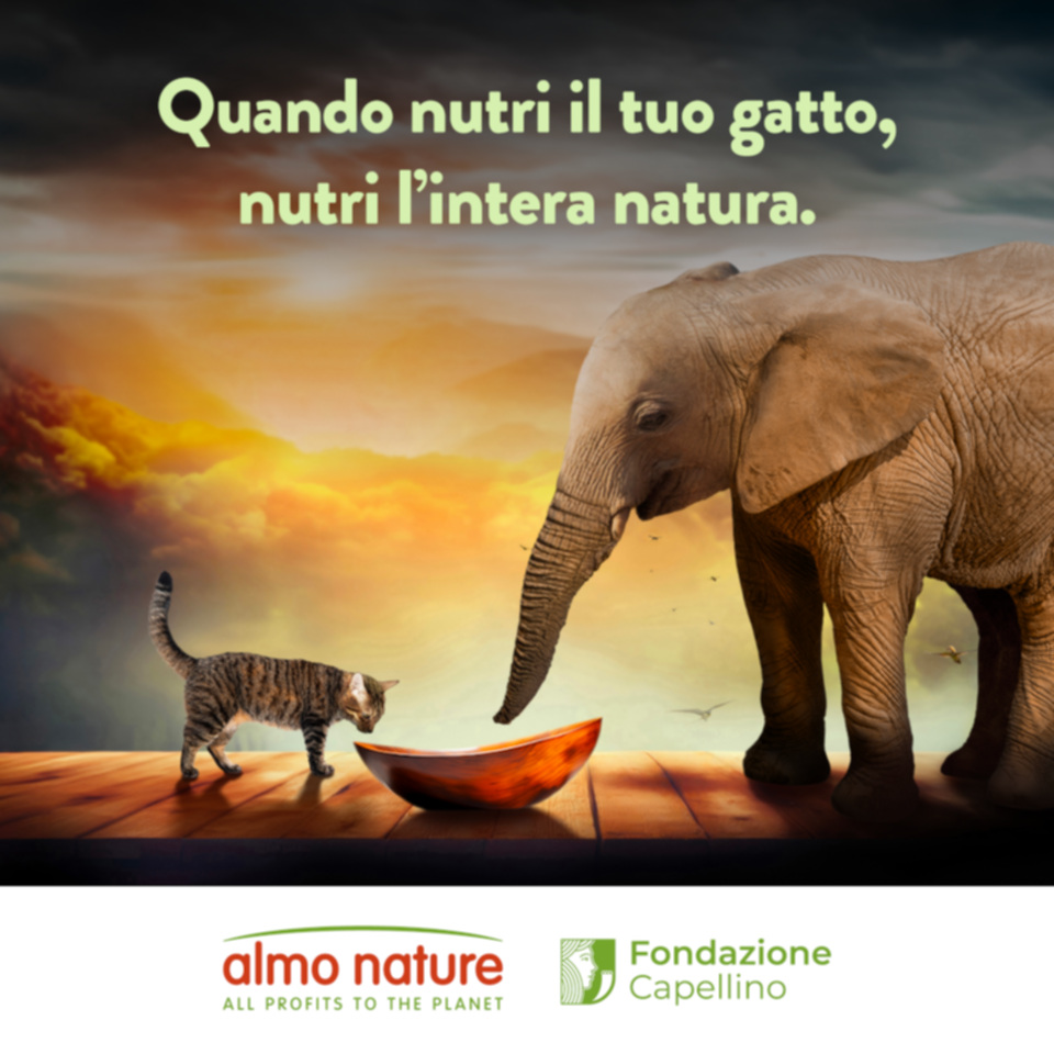 La Reintegration Economy è l’attivismo di Almo Nature per il pianeta.