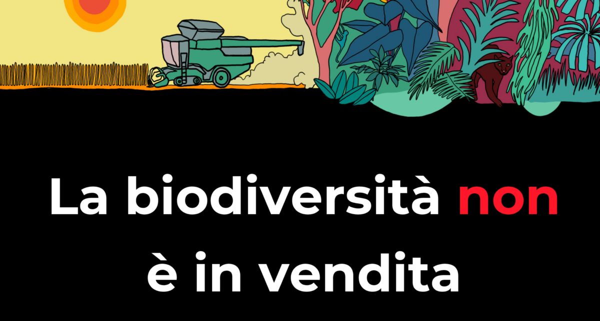 Navdanya: «No alla finanziarizzazione della Natura»