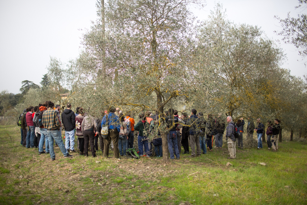 Parte la scuola di agroecologia di Mondeggi Bene Comune