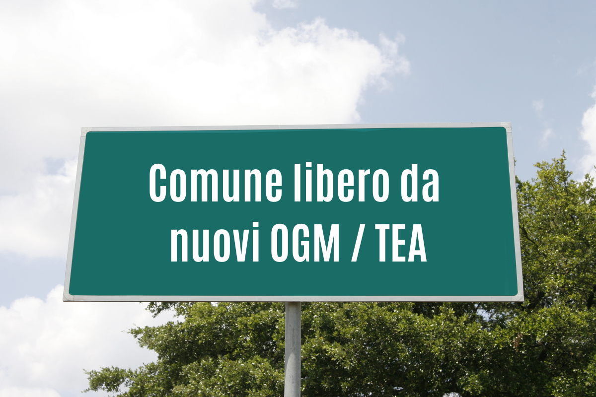 Crocevia: «Rendiamo Comuni e Regioni liberi dai nuovi OGM»