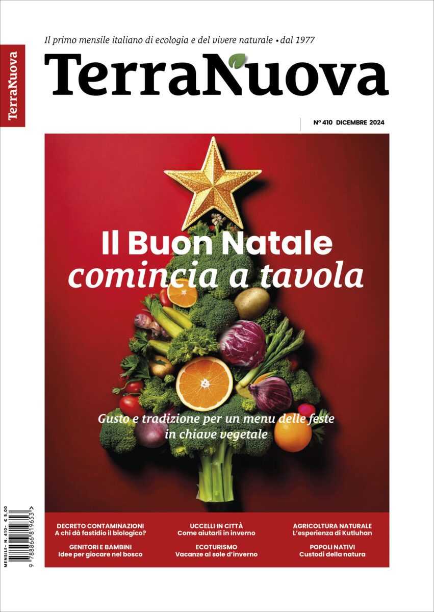 Terra Nuova Dicembre 2024. Natale vegetale