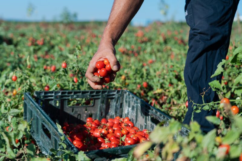 Black Friday? No grazie. NaturaSì preferisce la "spesa consapevole"