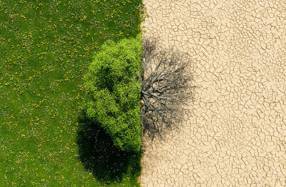 Anche in Italia cause climatiche? Fissata l’udienza che lo deciderà