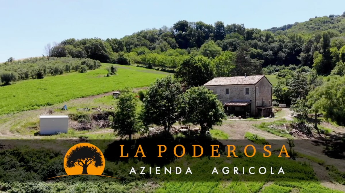 La Poderosa: azienda agricola all’insegna della biocanapa