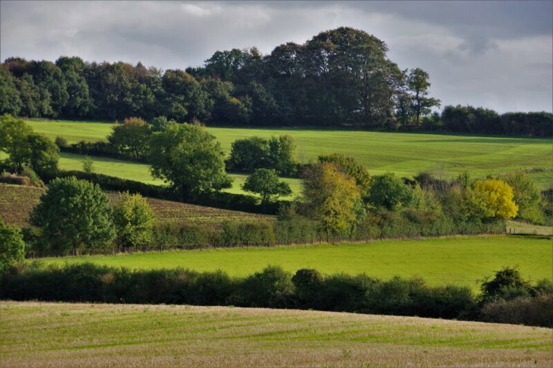 Come costruire infrastrutture ecologiche in agricoltura