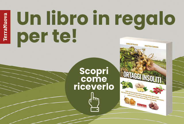 Un libro in regalo per te!