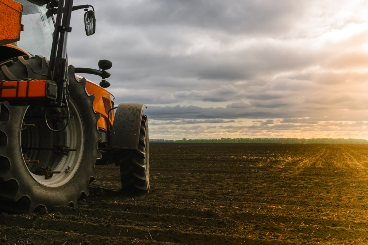 Via Campesina alla UE: «I nuovi OGM distruggeranno l’agricoltura»