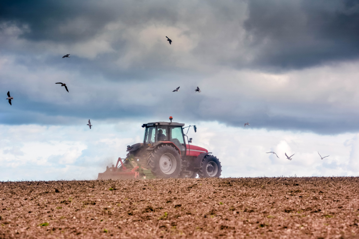 Sempre meno natura nell’agricoltura Made in Italy