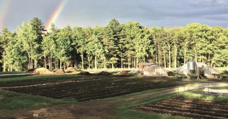 benefici dell'agricoltura no-till