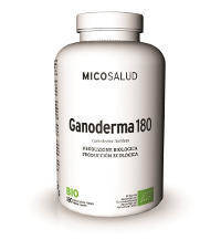 ganoderma